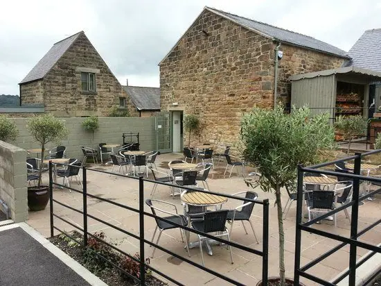 Marsh Green Farm Shop and Cafe photo 2