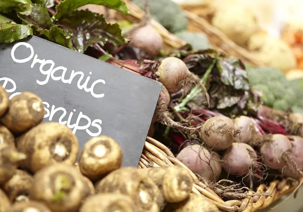 Syston Park Farm Shop photo 4