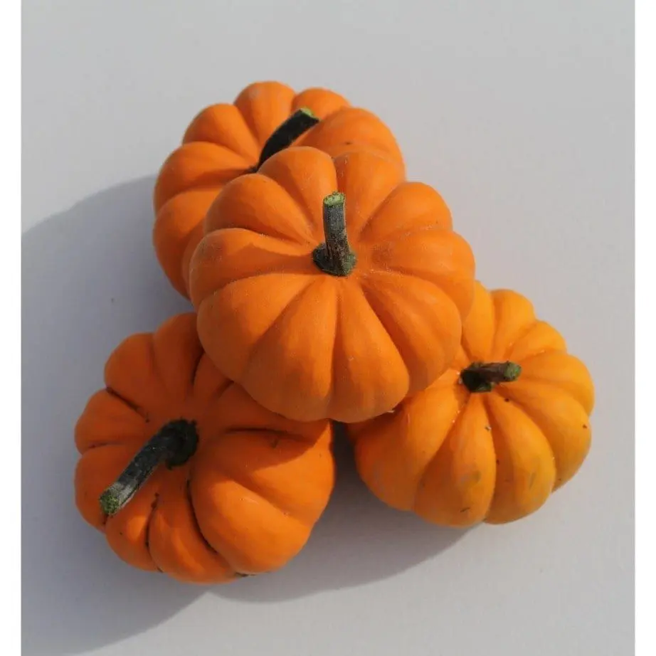 PYO Pumpkins (Riverside Farmers) photo 2