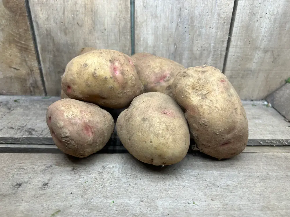 Jones Farm Shop photo 4
