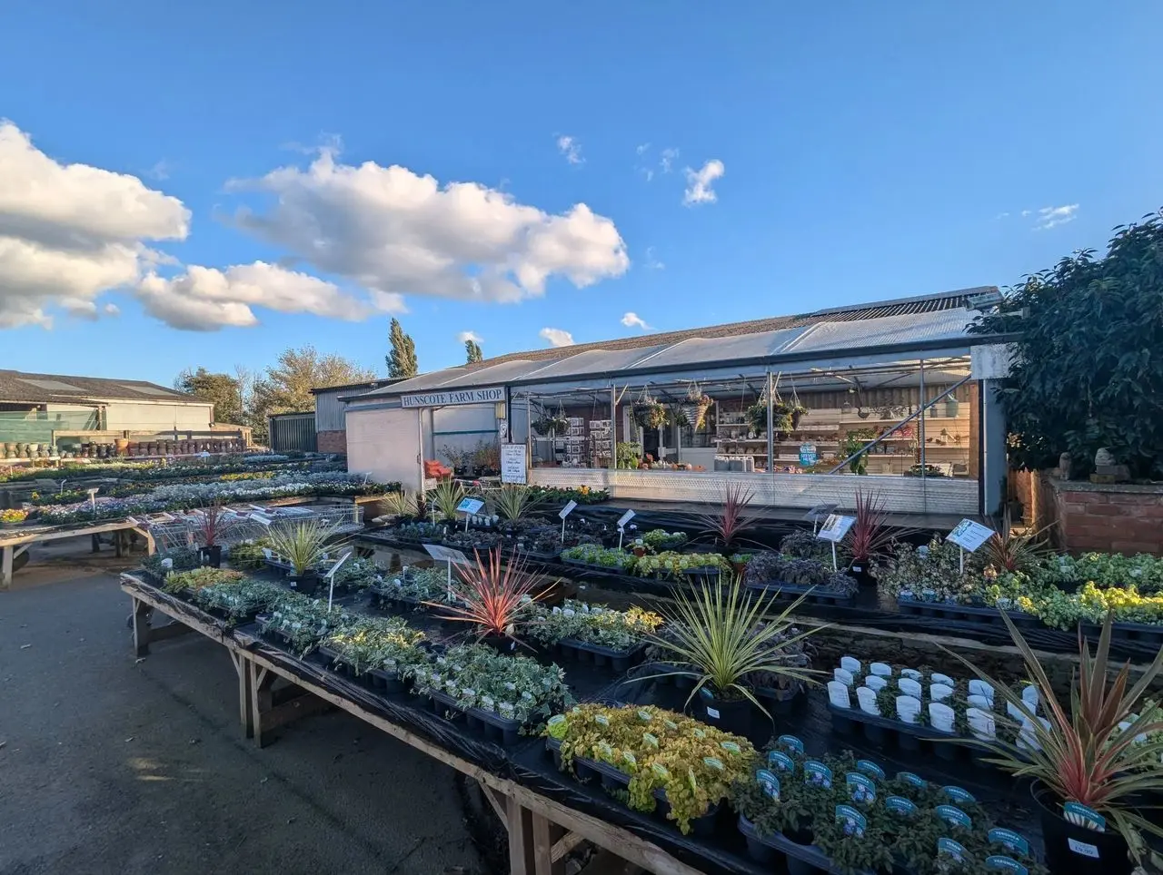 Hunscote Farm Shop and Nursery main photo