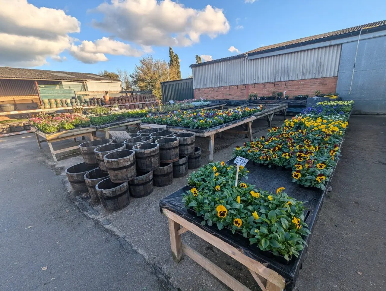 Hunscote Farm Shop and Nursery photo 1