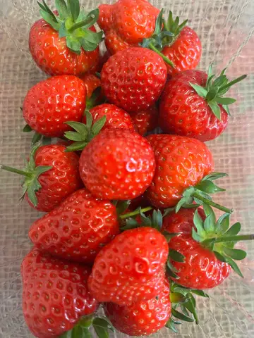 Hinksford Farm Shop photo 2