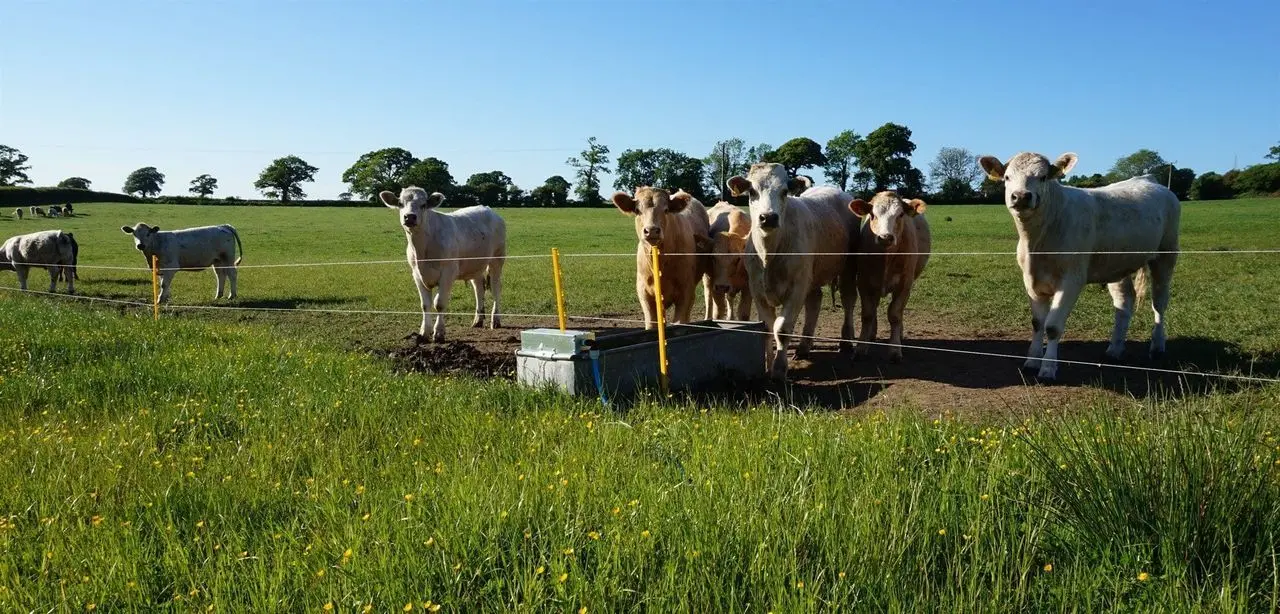 Brewery Farm photo 1