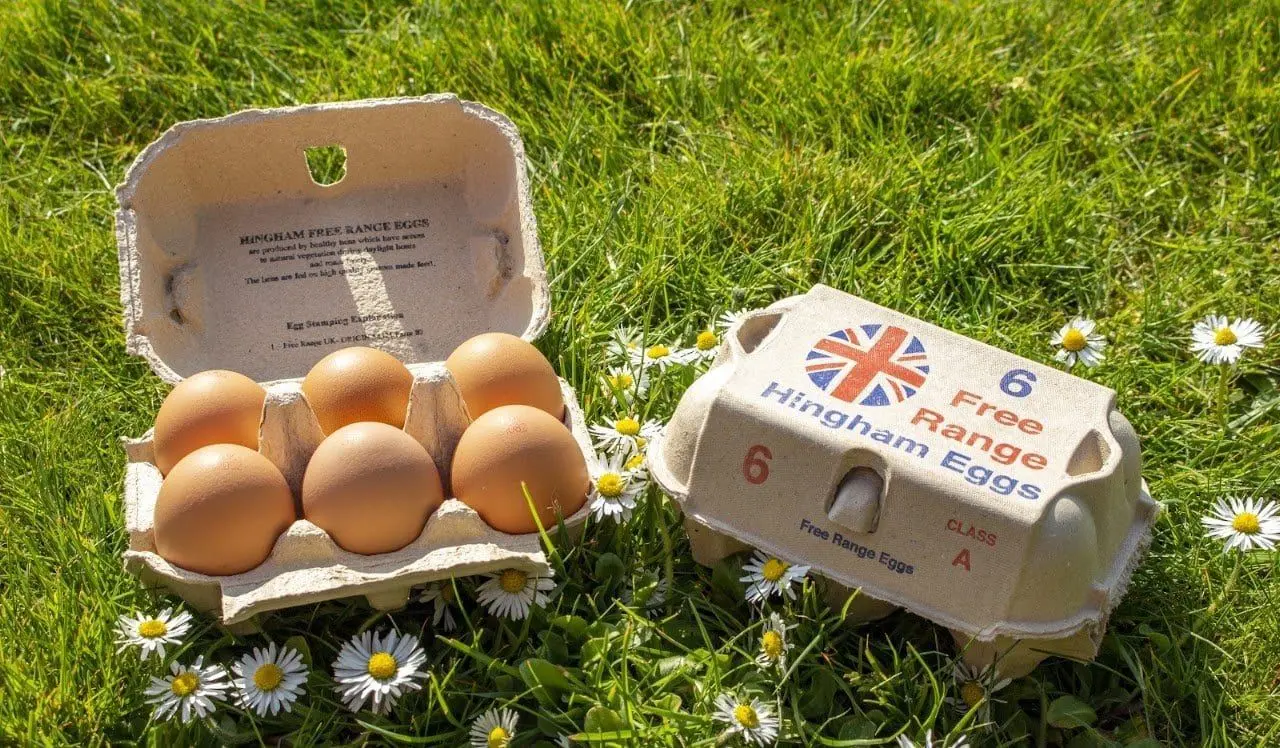 Hingham Eggs photo 1