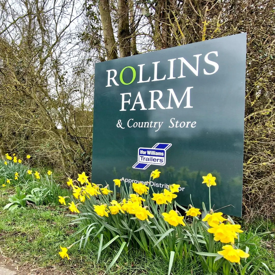 Rollins Farm Country Store photo 2