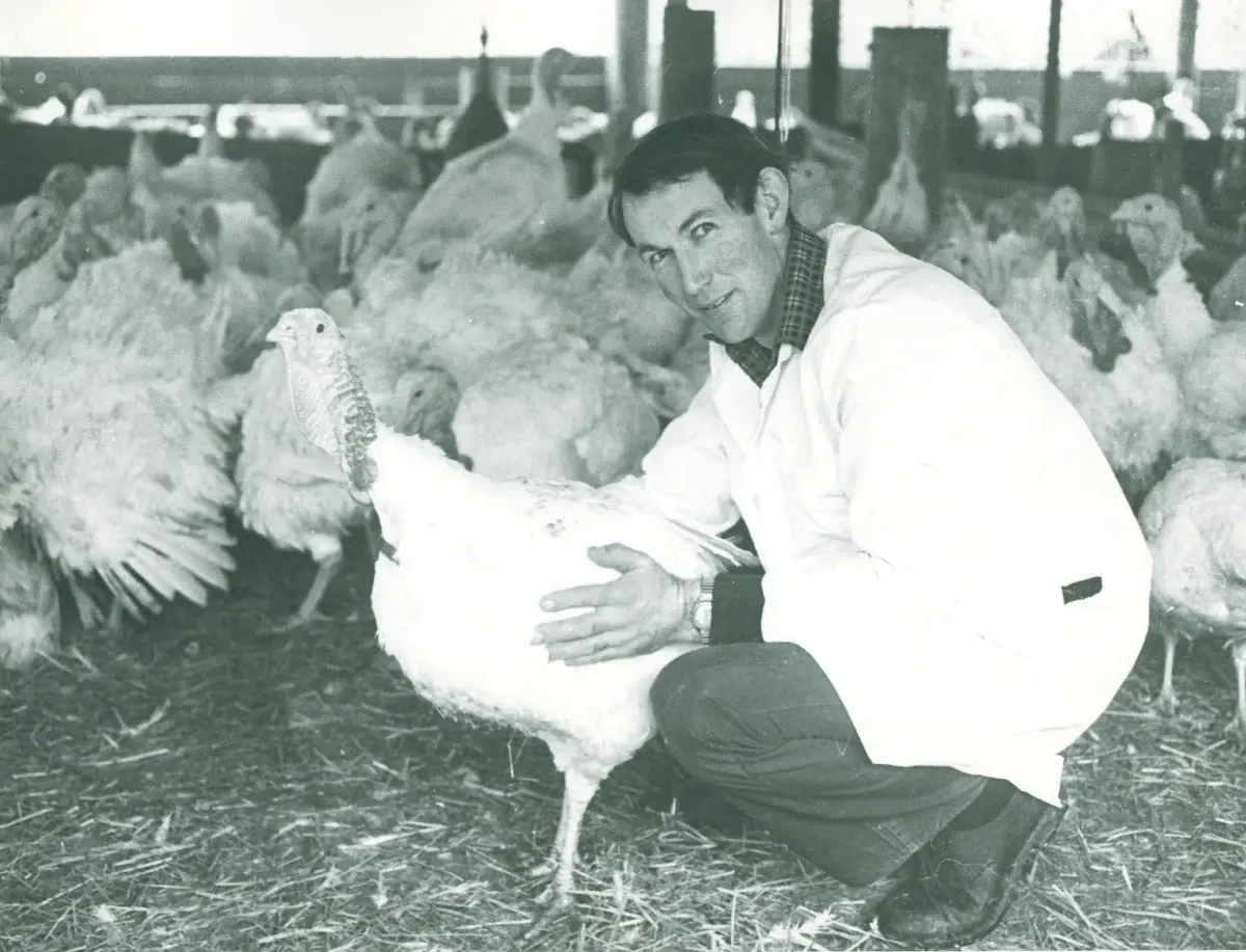The Oaks Poultry Farm photo 3