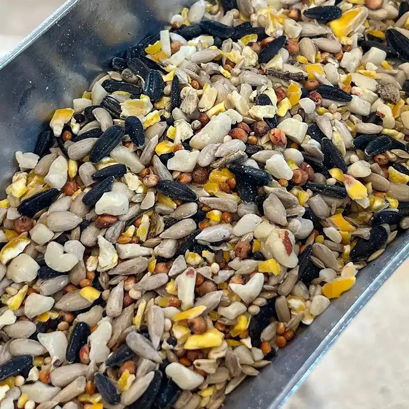 Brinvale Bird Foods photo 1
