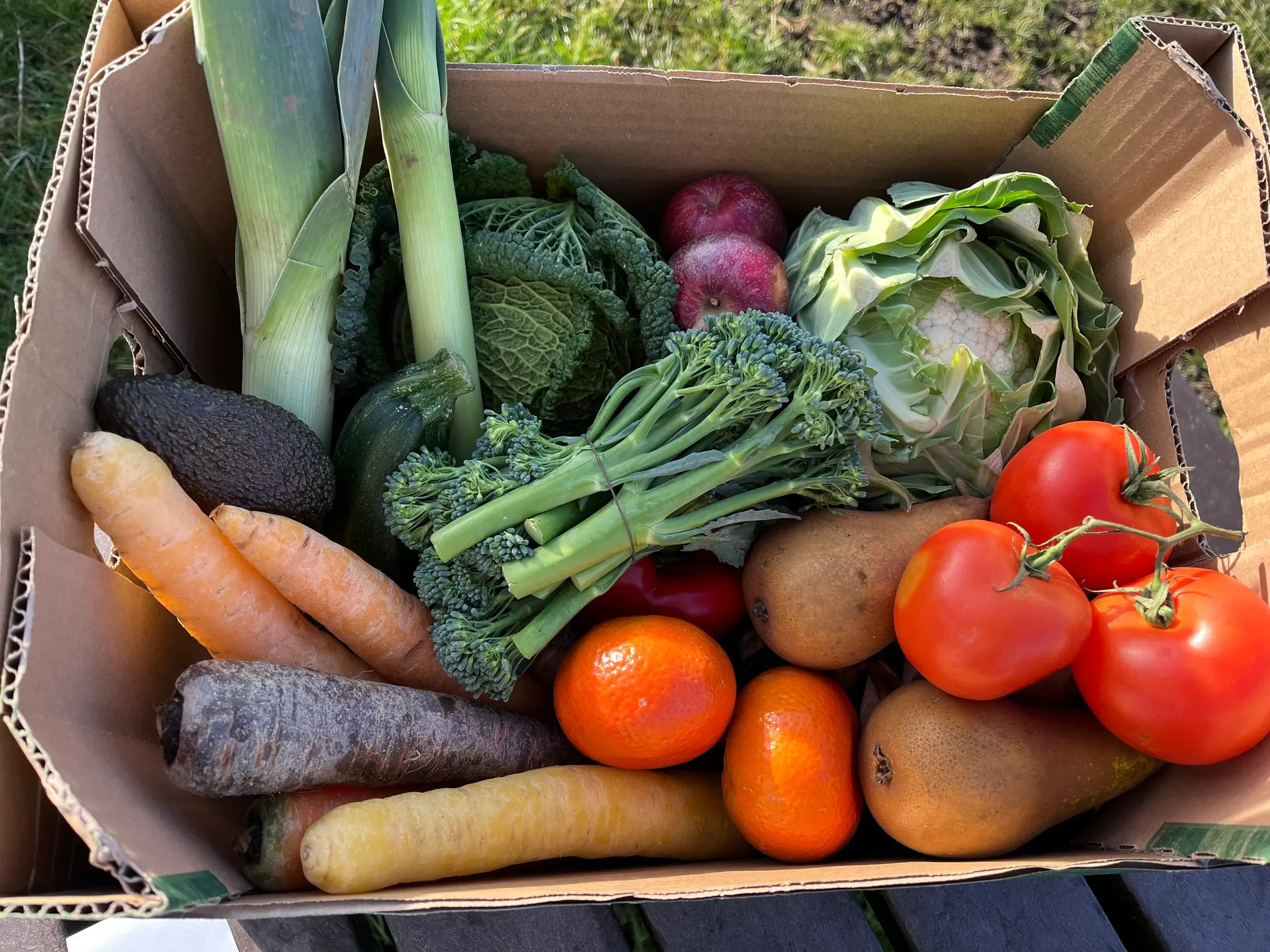 Manor Organic Farm photo 3