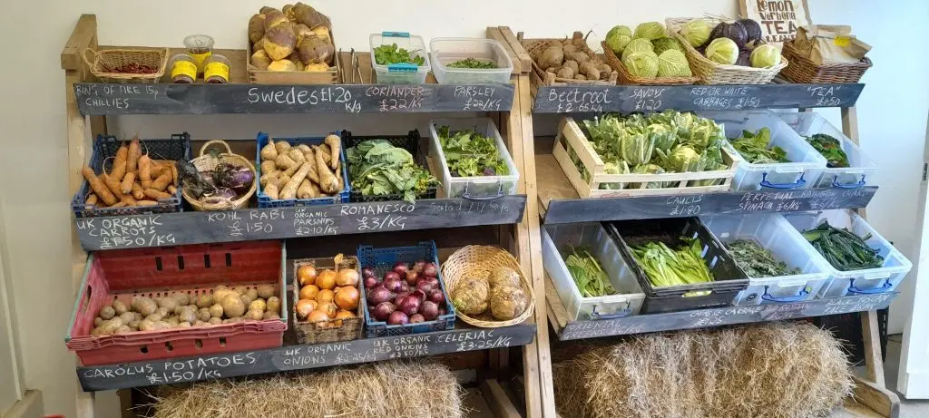 Bosavern Community Farm photo 2