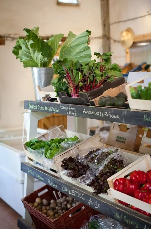 Cusgarne Organic Farm photo 1