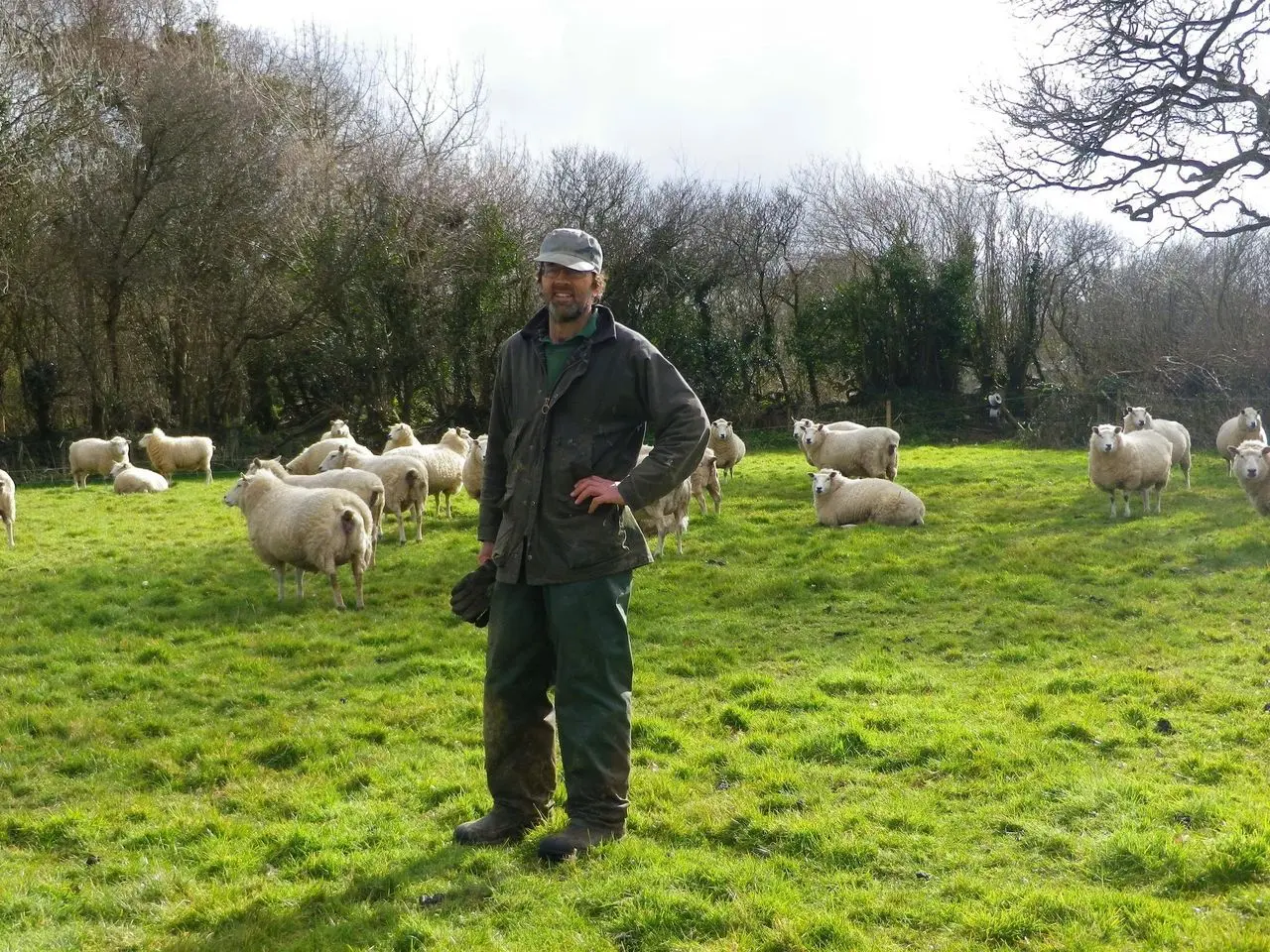 Stephen Gelly Organic Farm photo 1