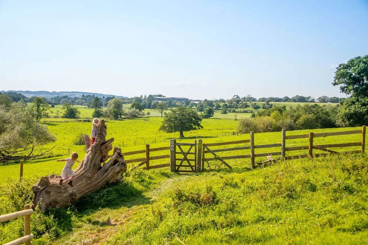 Fordhall Organic Farm main photo
