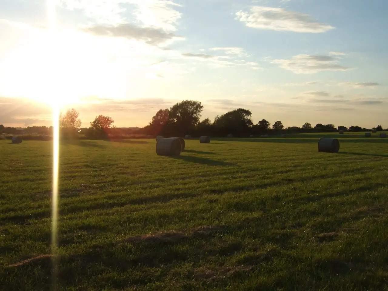 Field Farm Shop main photo