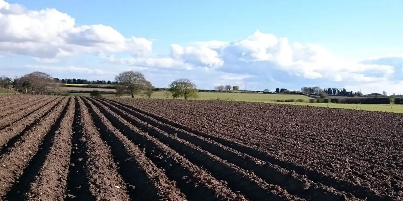 Field Farm Shop photo 2