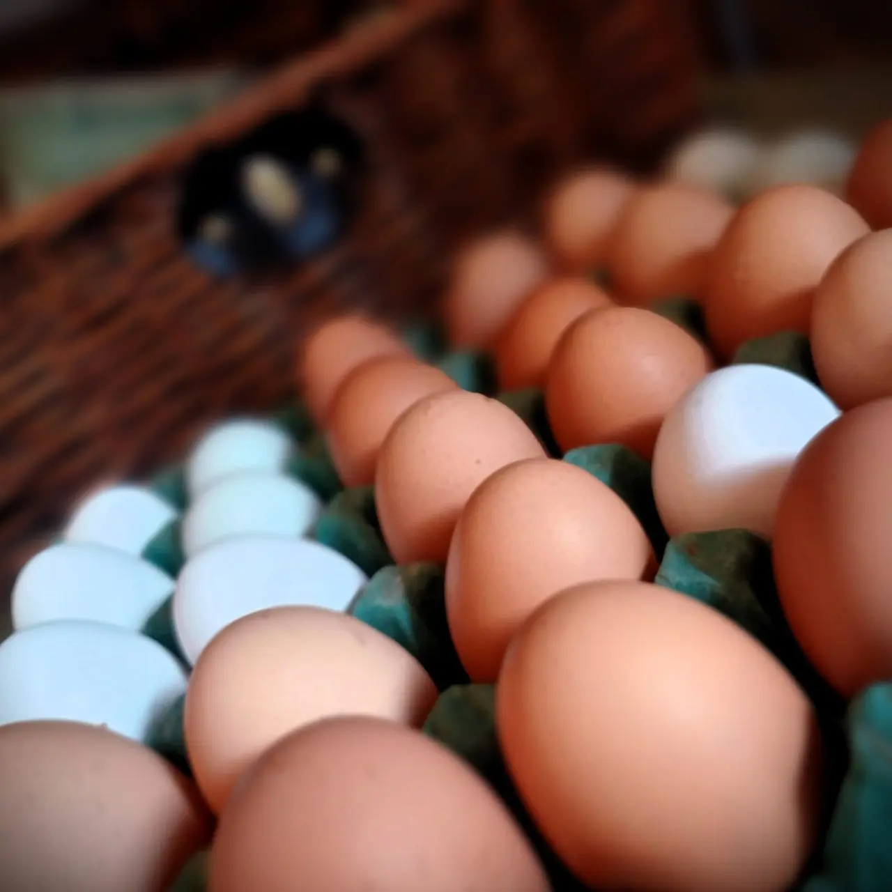 Manor Farm Shop photo 4
