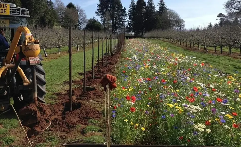 Four Elms Fruit Farm
