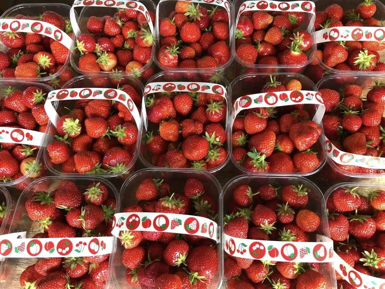 Bourne Valley PYO main photo