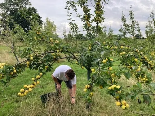 Fruitfields photo 2