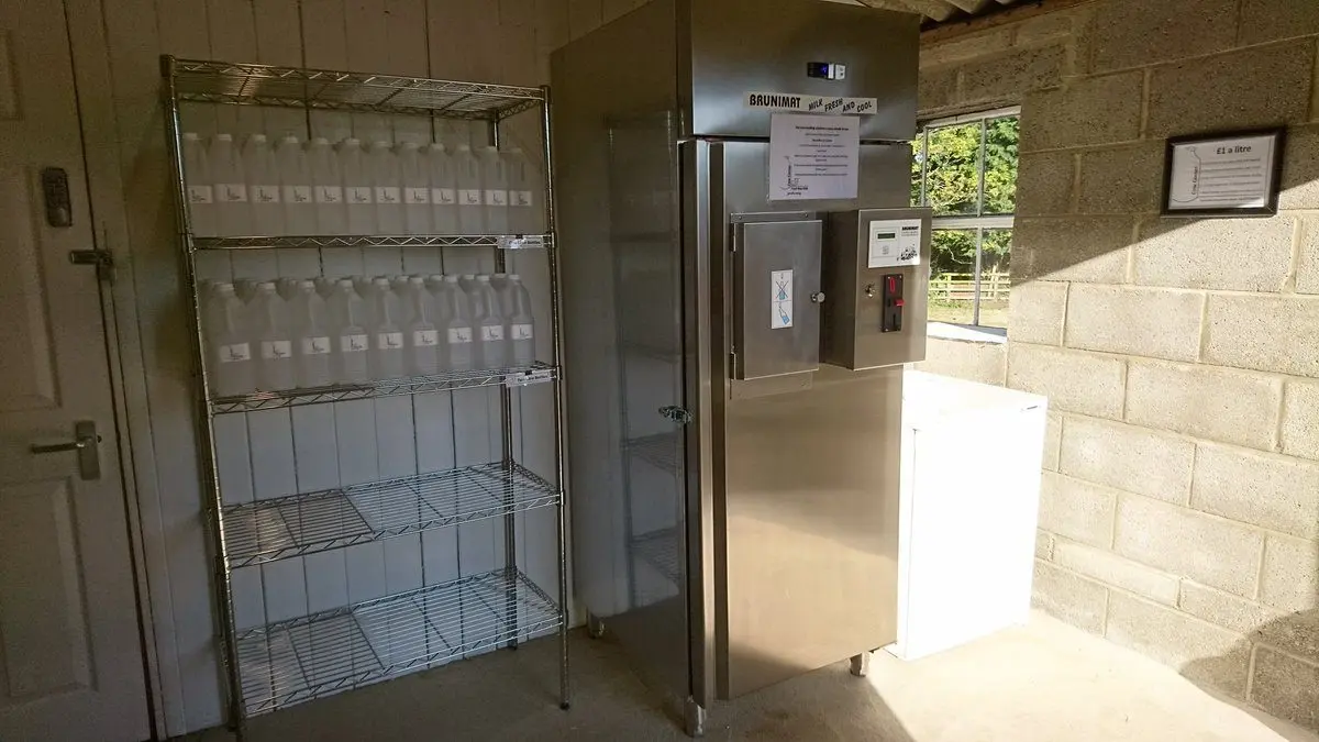 Cow Corner Milk photo 3