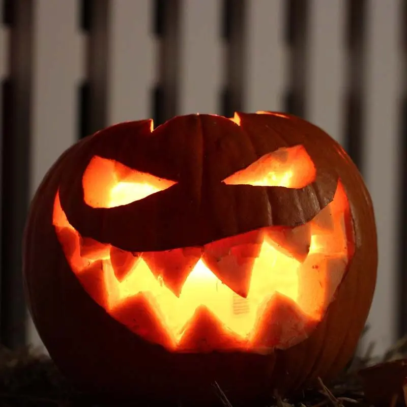 Erriot Wood Pumpkin Patch photo 2