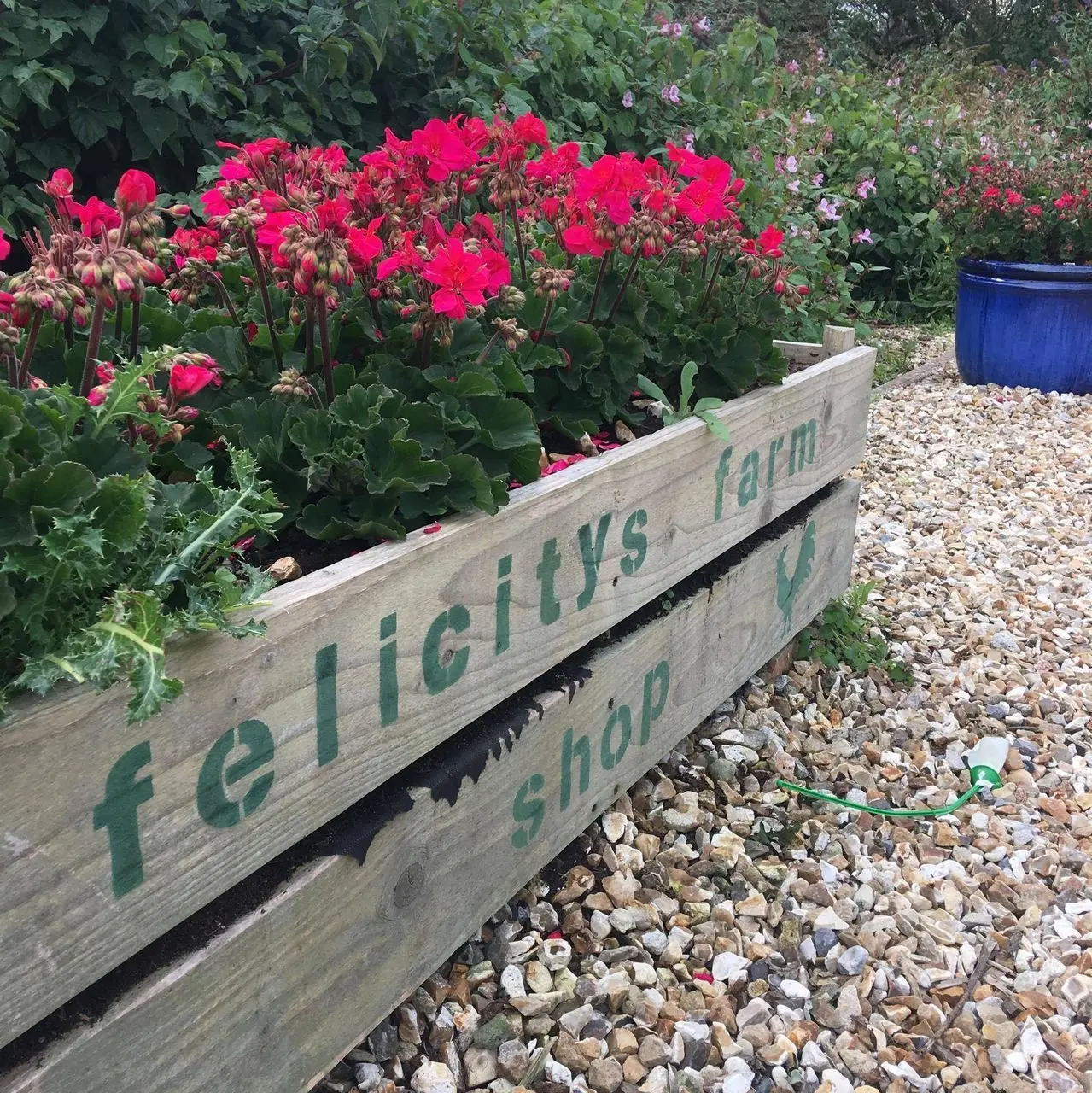 Felicity's Farm Shop photo 3