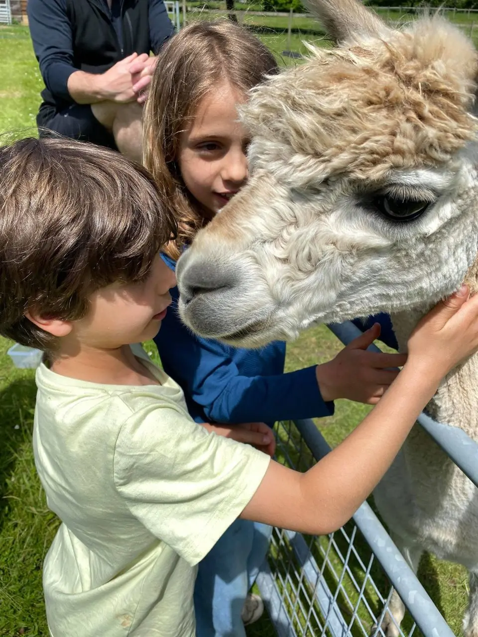 Exclusively Alpaca main photo