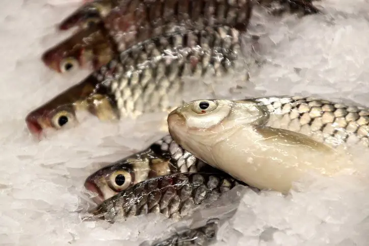 Coastal Cuisine Ltd photo 3