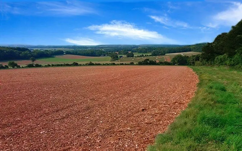 Adsdean Farm Shop photo 1