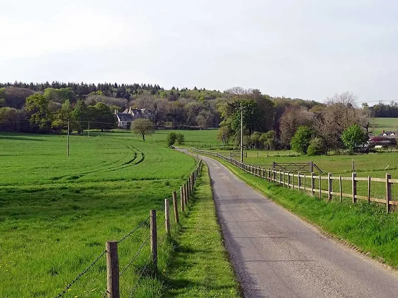 Adsdean Farm Shop photo 4