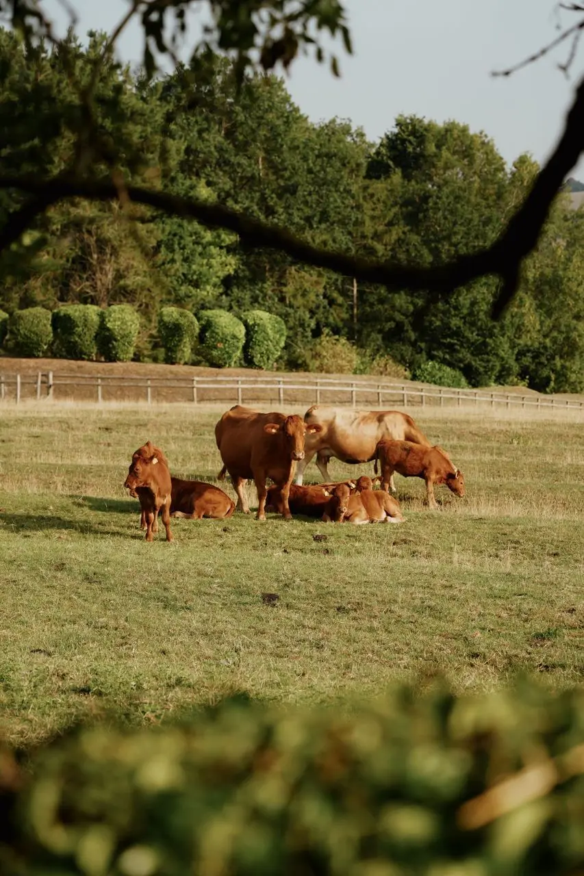 Todenham Manor Farm photo 3