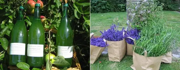 Dovecote Garden photo 2