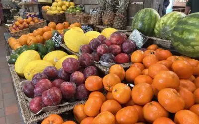 Cox's at Spencers Farm (Spencers Farm Shop) photo 3