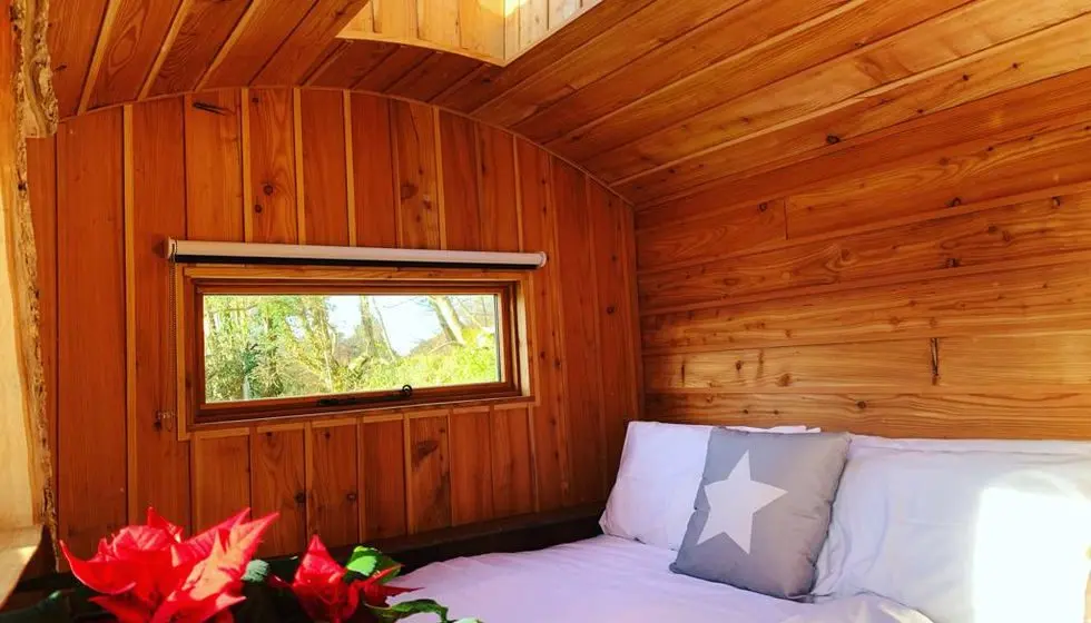 Dorset Star Cider & Shepherds Huts photo 4