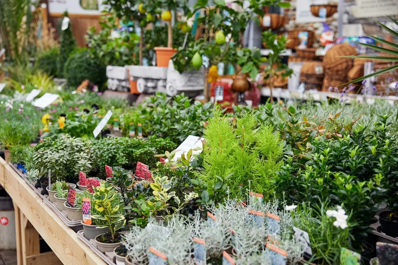 Oakchurch Farm Shop and Garden Centre photo 1