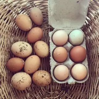 Knitsley Farm Shop photo 1