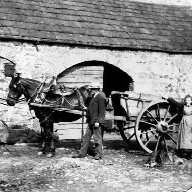 Knitsley Farm Shop photo 2