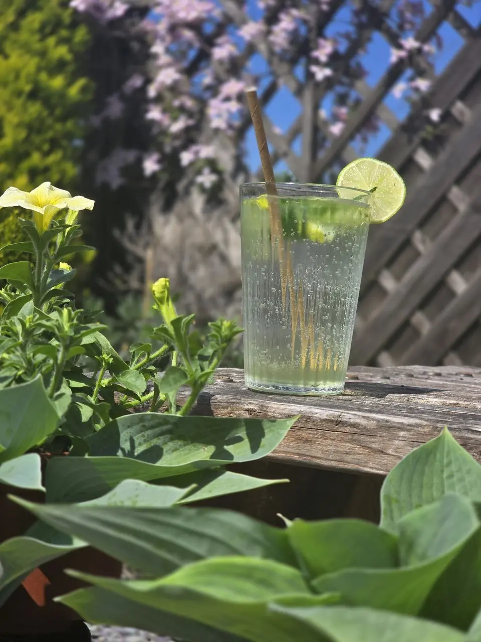 Thornes Garden Nursery & The Potting Shed Cafe photo 3
