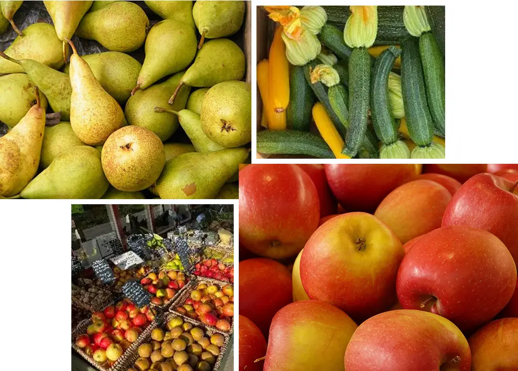 Village Greens Farm Shop at Denbies main photo