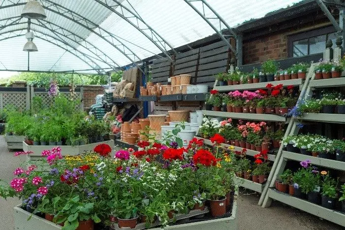 Village Greens Farm Shop at Denbies photo 2