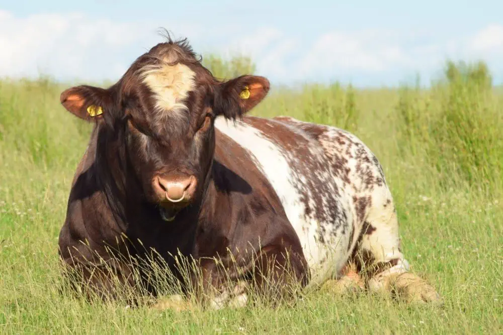 Hallsford Farm Produce main photo