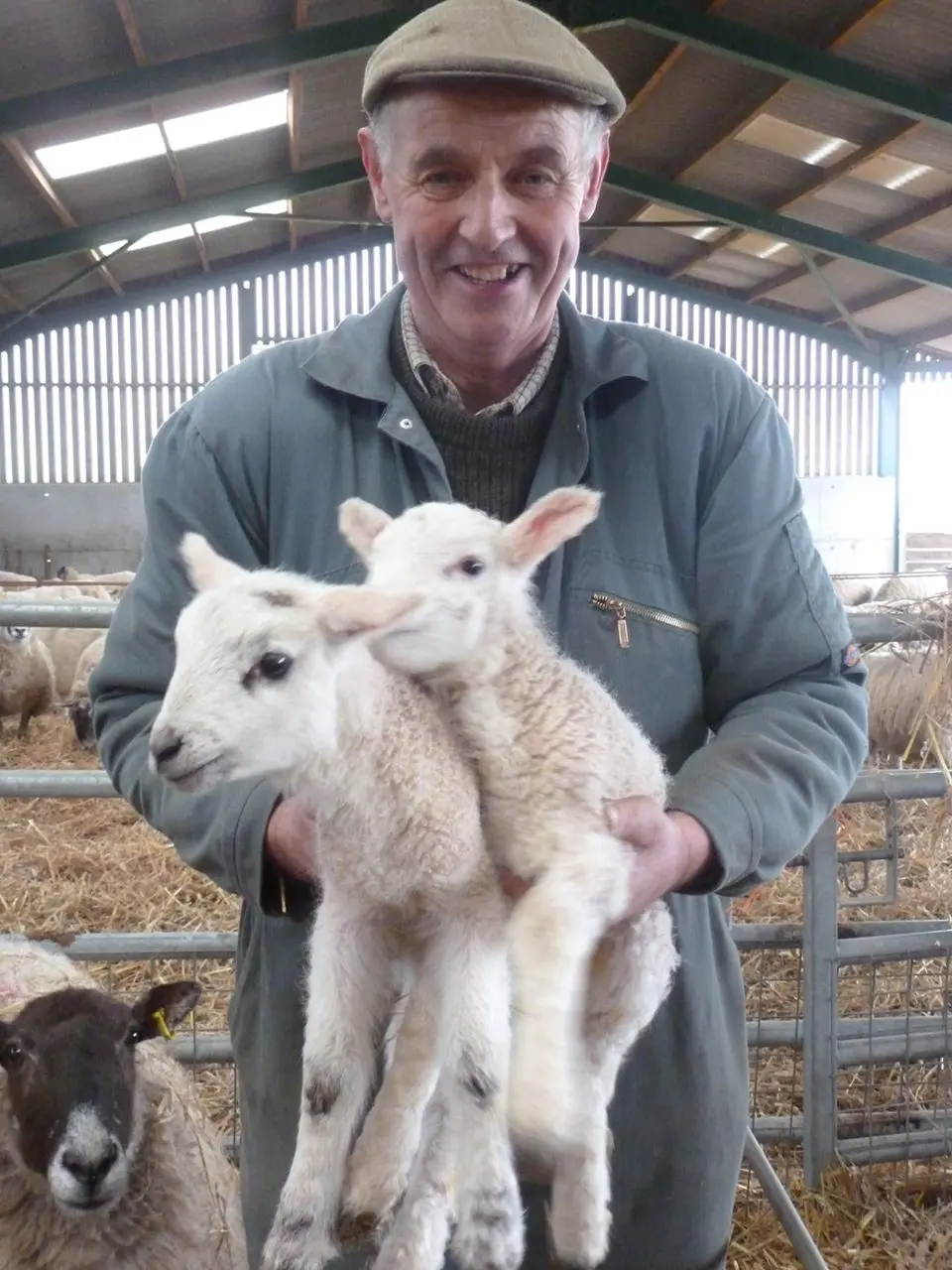 Ashley Farm Shop photo 4