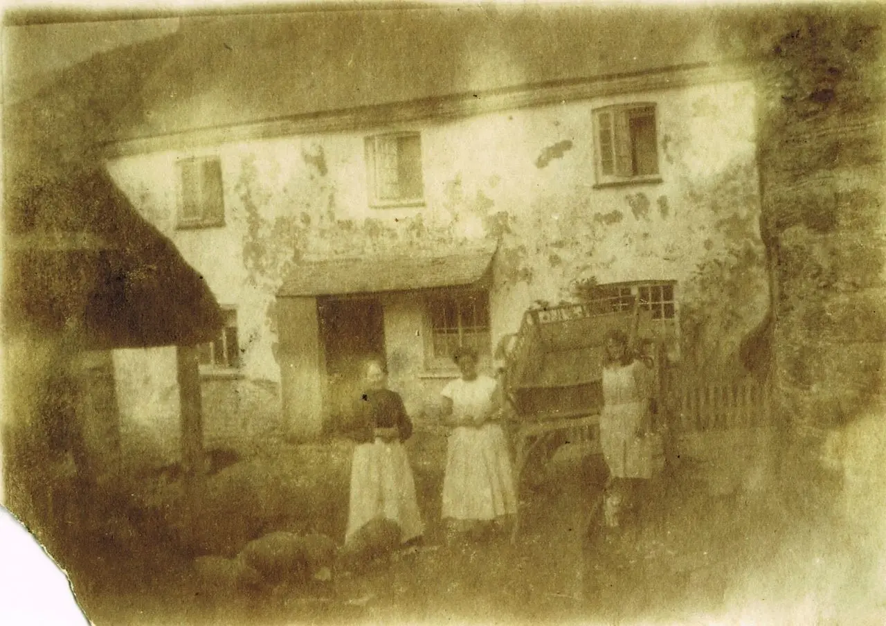 Springfield Farm Shop photo 2