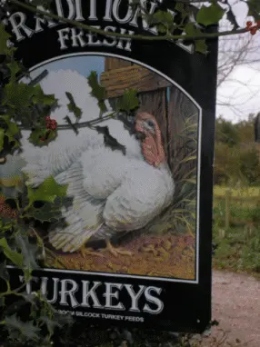 Kelsall's Traditional Home-Reared Turkeys photo 1