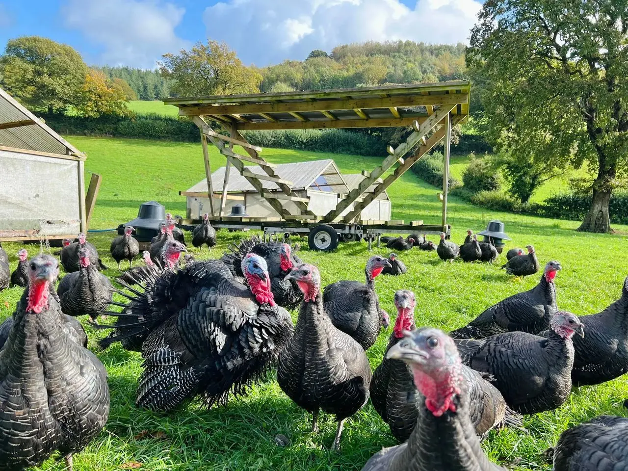 Farm2Fork main photo