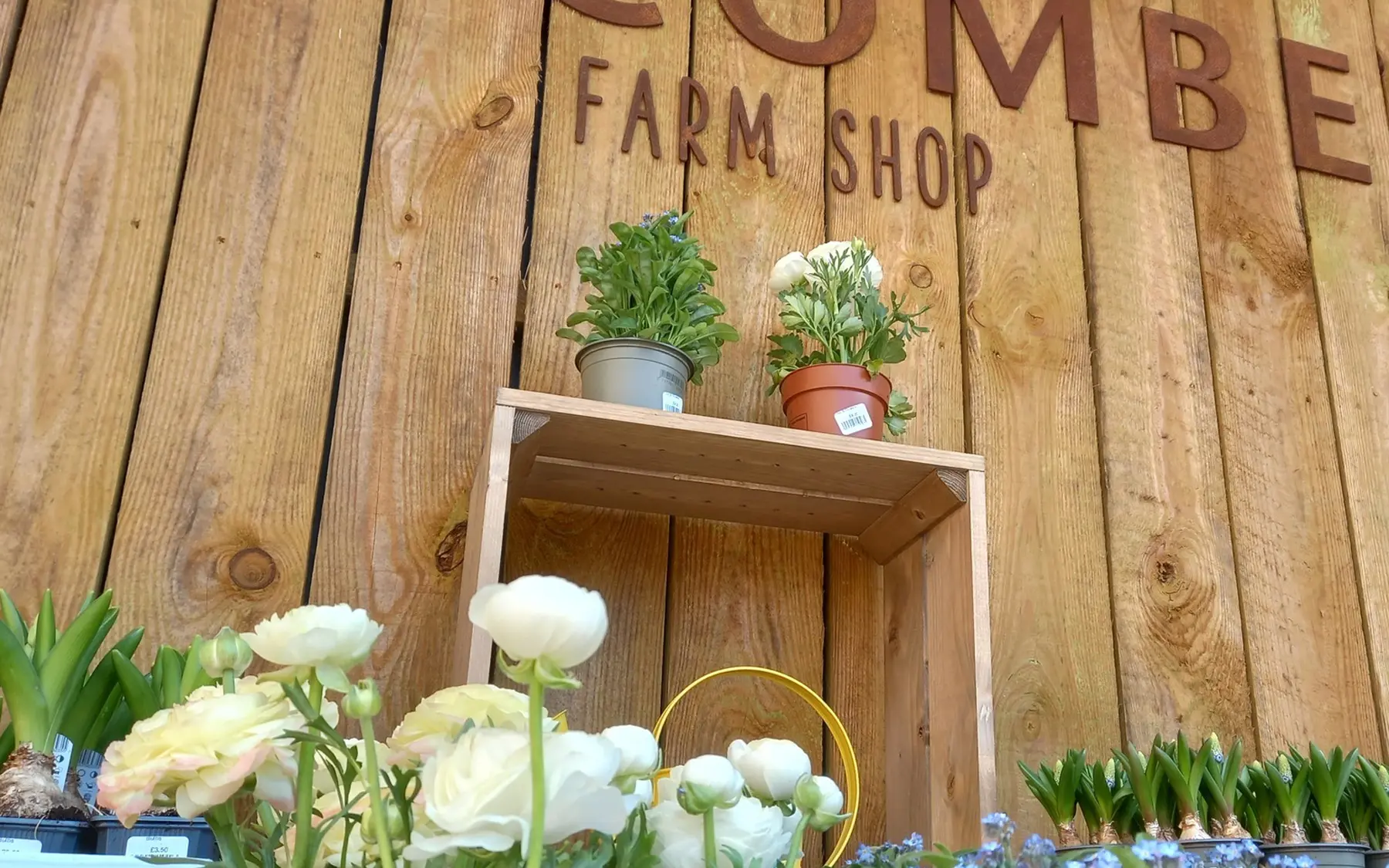 Occombe Farm Shop