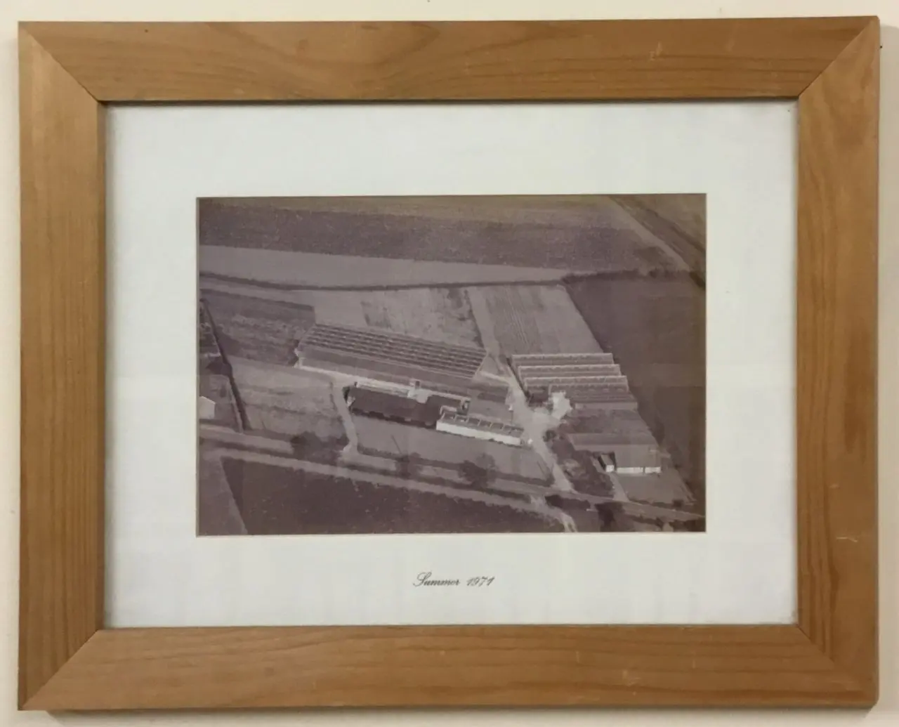 Hillcrest Nurseries Ltd main photo