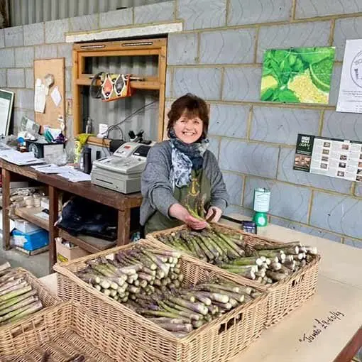 The Birchden Asparagus Farm photo 1