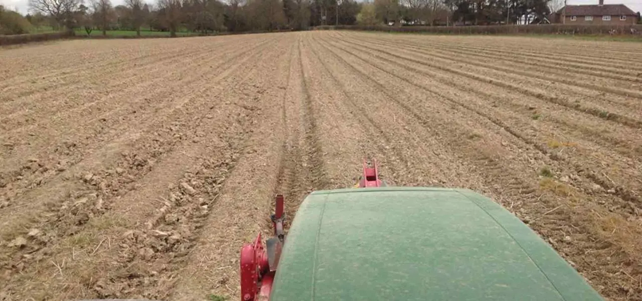 The Birchden Asparagus Farm photo 3