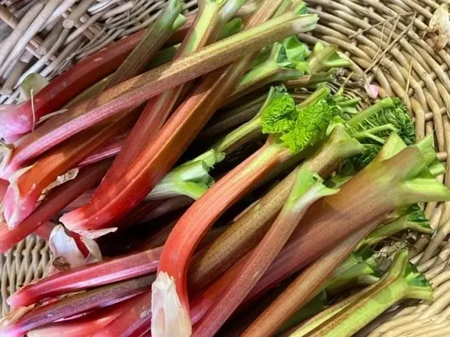 Wykham Park Farm Shop photo 3